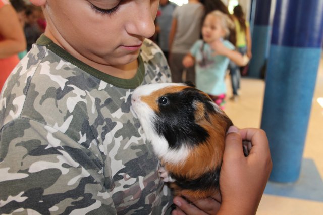 Állatok világnapja