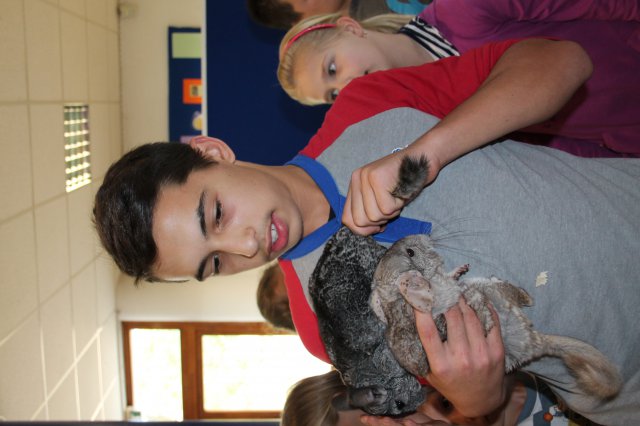 Állatok világnapja