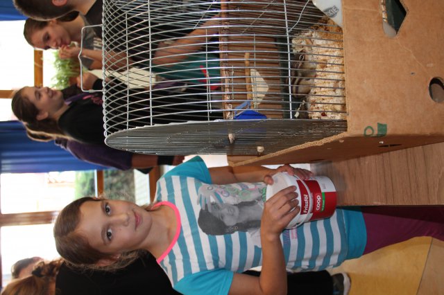 Állatok világnapja