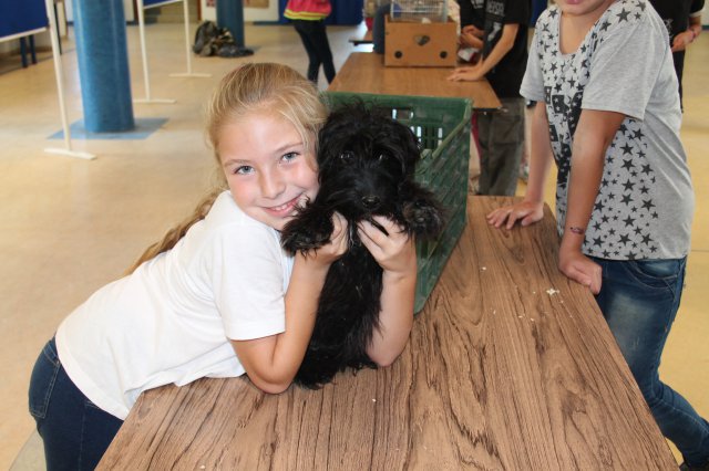 Állatok világnapja