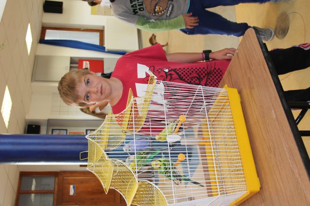 Állatok világnapja