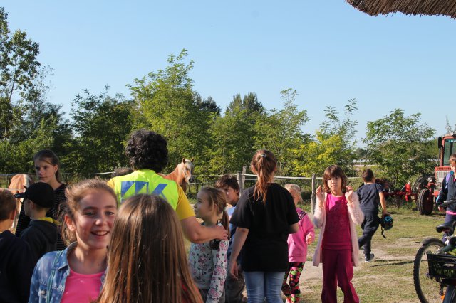 Állatok világnapja