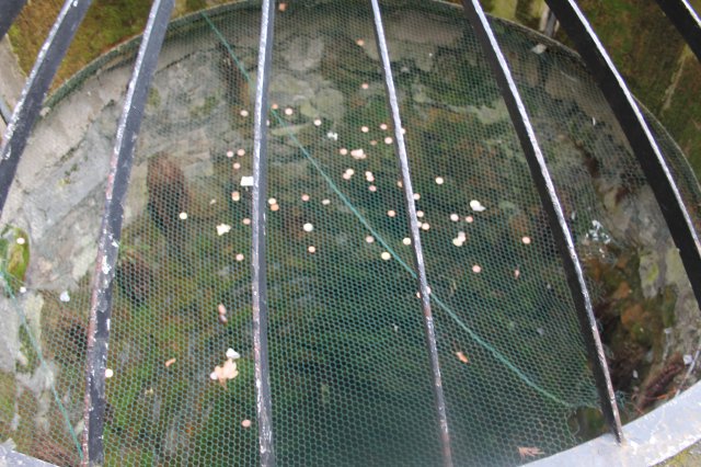 Felvidéki kirándulás