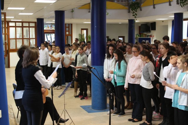 1956-os megemlékezés