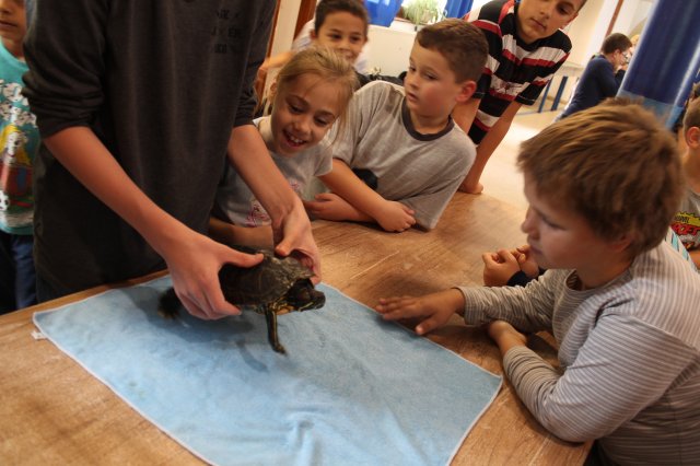 Állatok világnapja