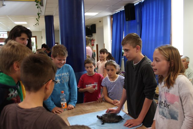 Állatok világnapja