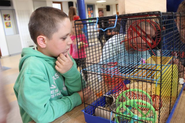 Állatok világnapja