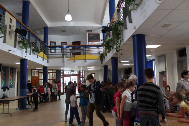 Állatok világnapja