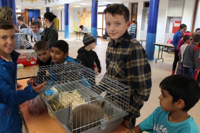 Állatok világnapja