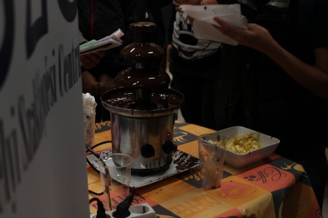 Pályaválasztási vásár