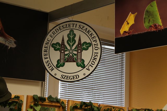 Pályaválasztási vásár