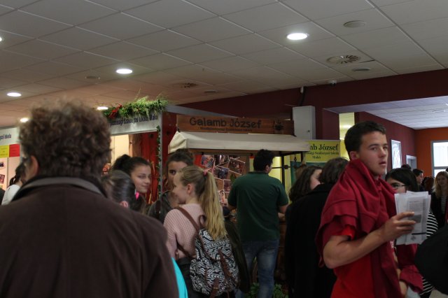 Pályaválasztási vásár