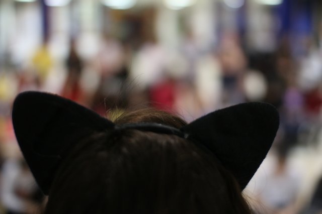 Itt a farsang áll a bál...