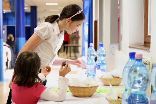 Megyei Helyesírási Verseny