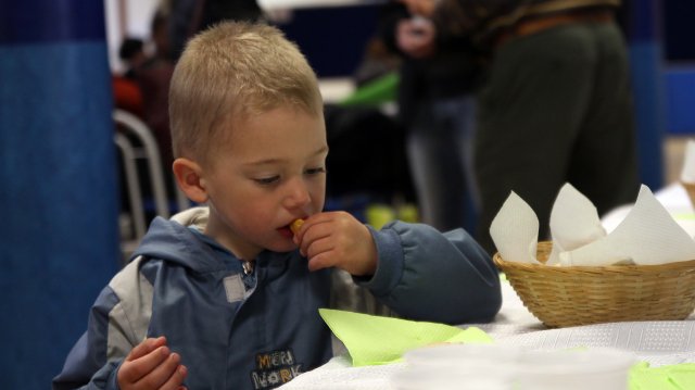 Megyei Helyesírási Verseny