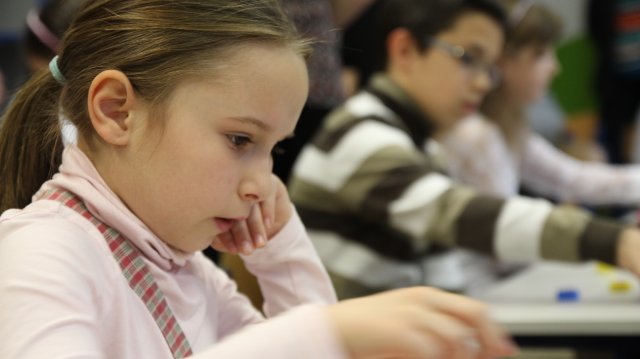 Megyei Helyesírási Verseny