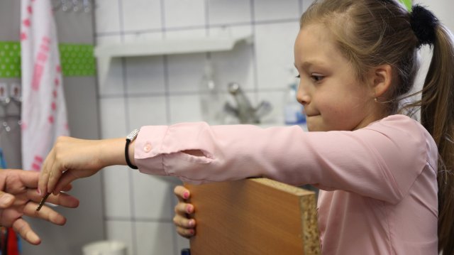 Megyei Helyesírási Verseny