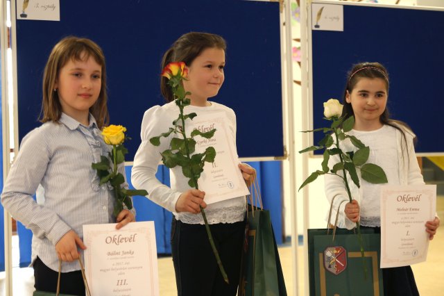 Megyei Helyesírási Verseny