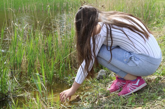 Természetismereti emlékverseny
