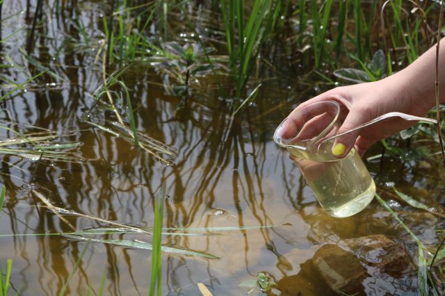 Természetismereti emlékverseny