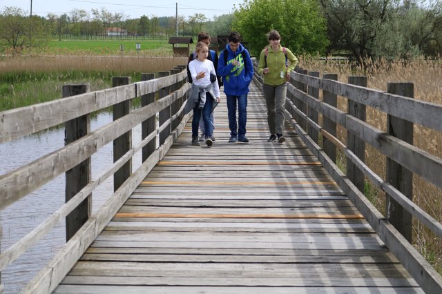 Természetismereti emlékverseny