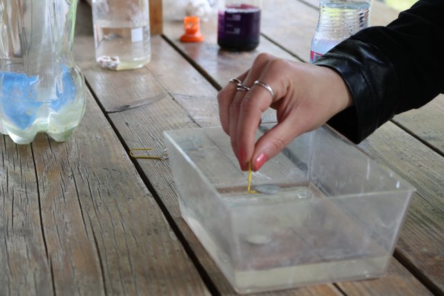 Természetismereti emlékverseny