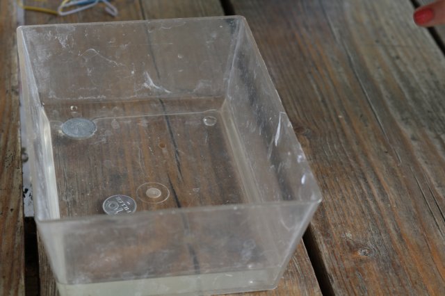 Természetismereti emlékverseny