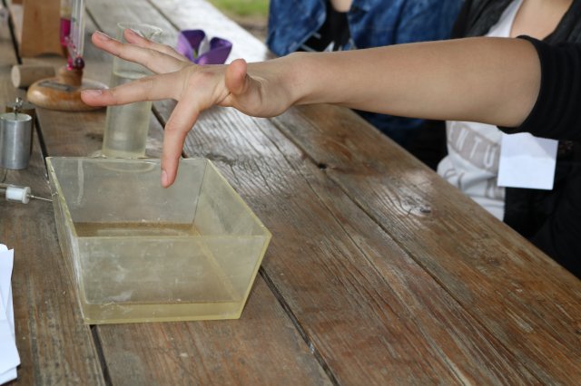 Természetismereti emlékverseny