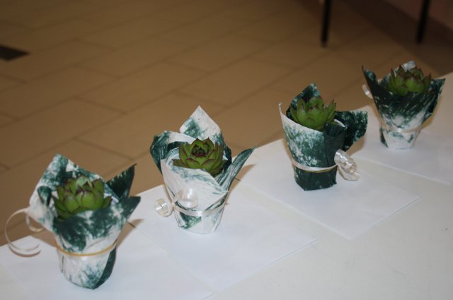 Természetismereti emlékverseny