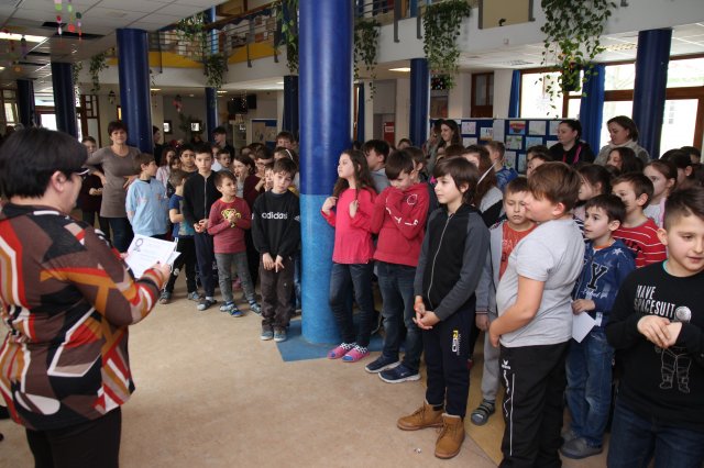 Alsós tanulmányi verseny