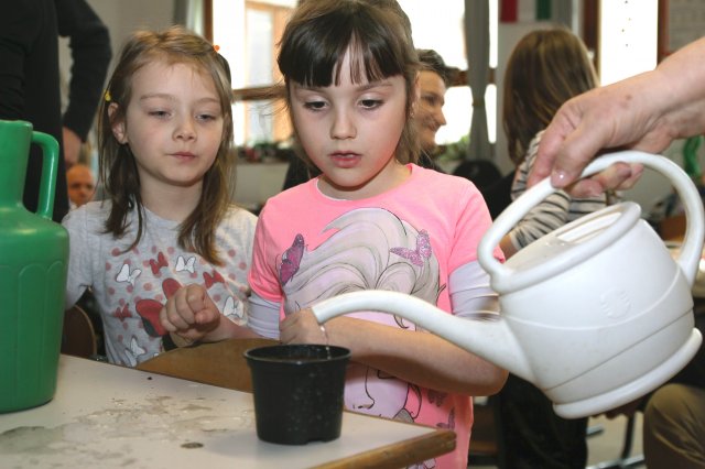 Iskolába hívogató