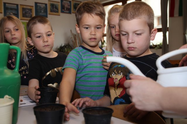 Iskolába hívogató