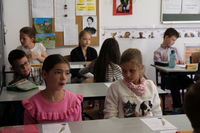 Megyei helyesírási verseny