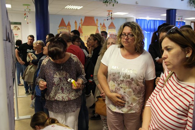 Megyei helyesírási verseny