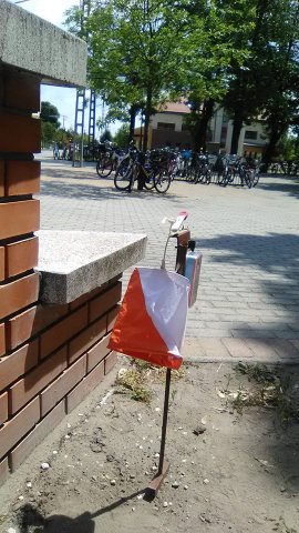 Diákolimpia mezei futás