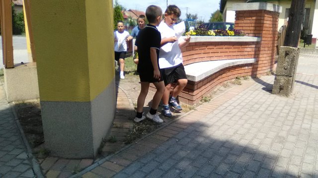 Diákolimpia mezei futás