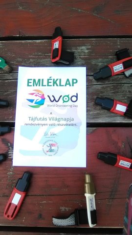 Diákolimpia mezei futás