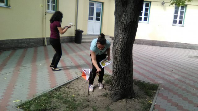 Diákolimpia mezei futás