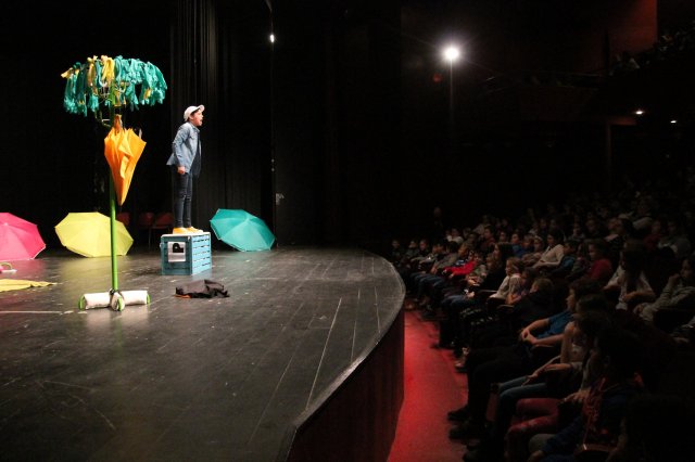 A sirály a király?