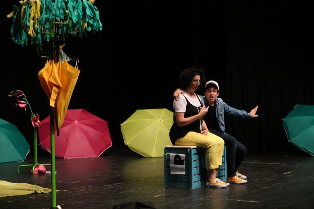 A sirály a király?