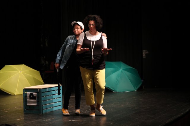 A sirály a király?