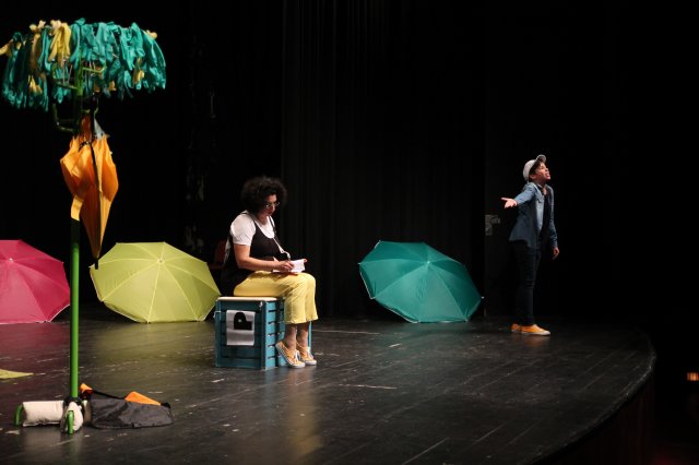 A sirály a király?