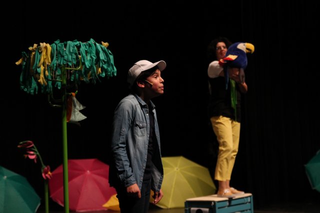 A sirály a király?