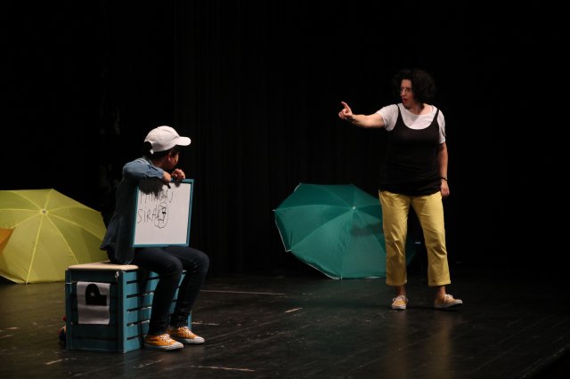 A sirály a király?