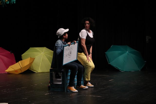 A sirály a király?