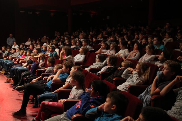 A sirály a király?