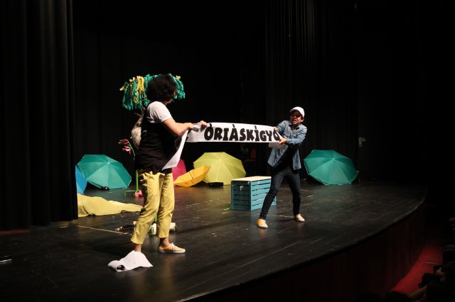 A sirály a király?