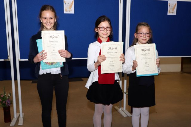 Megyei helyesírási verseny