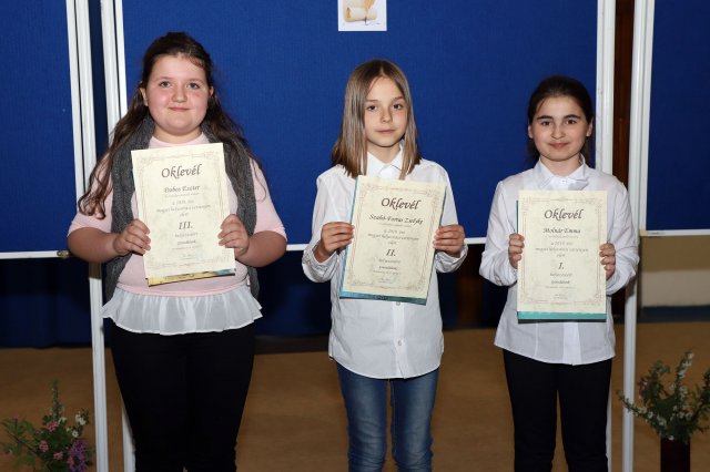 Megyei helyesírási verseny