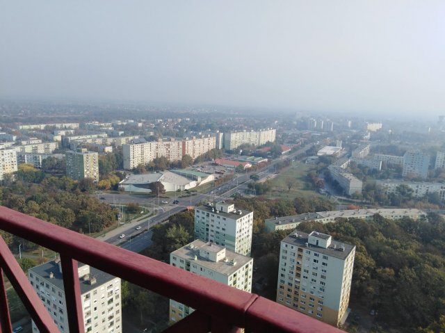 Pályaorientációs nap 2019